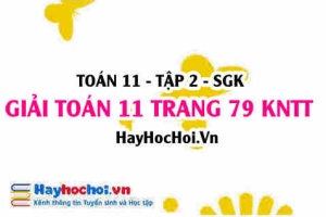 Giải Toán 11 trang 79 tập 2 Kết nối tri thức